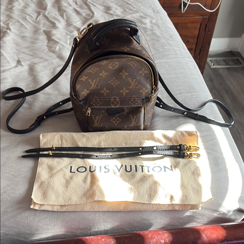 Louis Vuitton Brown Palm Springs Mini Backpack